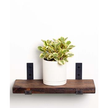 商品Greendigs | Live Peperomia Plant in Fluted Ceramic Pot, 5",商家Macy's,价格¥346图片