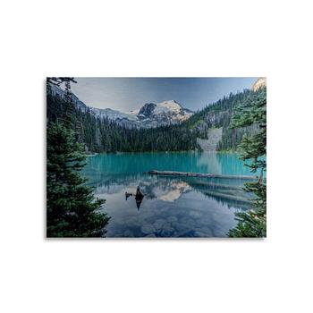 推荐Pierre Leclerc Natural Beautiful British Columbia Floating Brushed Aluminum Art - 22" x 25"商品