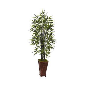 商品5.5' Black Bamboo Artificial Tree in Decorative Planter图片