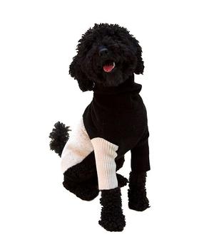 商品Little Beast | U+Me Sweater for Dogs,商家Bloomingdale's,价格¥490图片