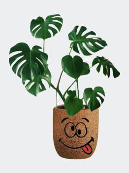 商品Crazy Face Plant Vase- Affordable And Fun图片