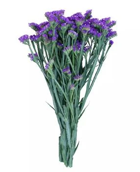 Magnolia Supply Co | Fresh Purple Statice Bundle,商家Macy's,价格¥300