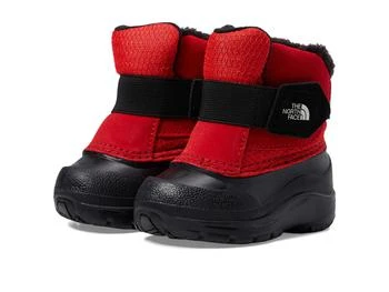 The North Face | Alpenglow II (Toddler) 