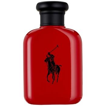 推荐Polo Red For Men Edt Spray 4.2 Oz商品