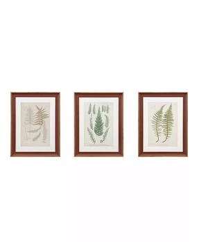 Martha Stewart | Martha Stewart Lady Fern Collection Single Mat Framed Graphic 3-Pc Set,商家Macy's,价格¥1660