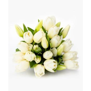 BloomsyBox | Pure White Tulips Fresh Flower Bouquet,商家Macy's,价格¥484