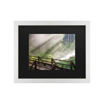 Trademark Global | Pierre Leclerc Forest Sunlight Matted Framed Art - 20" x 25",商家Macy's,价格¥447