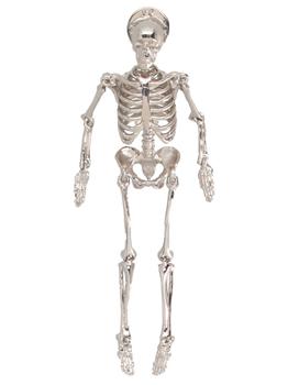商品RAF SIMONS | 'Skeleton' pin,商家Wanan Luxury,价格¥4924图片