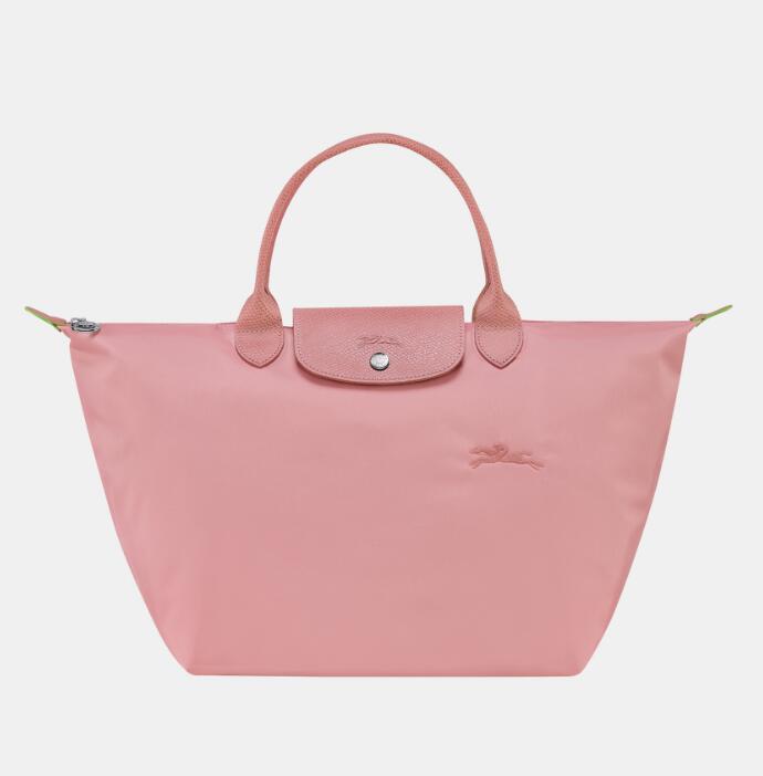 商品Longchamp | 尺寸30*28*20CM,商家Terri Wonder,价格¥630图片