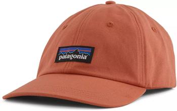 商品Patagonia Men's P-6 Label Traditional Hat图片