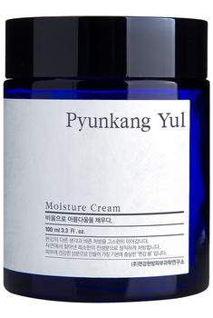 小棕瓶100ml面霜, Pyunkang Yul | Pyunkang Yul Moisture Cream 100ml商品图片 