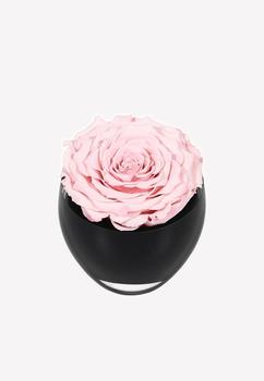 商品OnlyRoses | The Infinite Rose,商家Thahab,价格¥1109图片