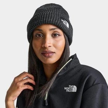 The North Face | The North Face Salty Dog Beanie Hat 7.1折, 满$100减$10, 独家减免邮费, 满减