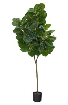 商品NEARLY NATURAL | 6' Artificial Fiddle Leaf Fig Plant,商家Nordstrom Rack,价格¥778图片