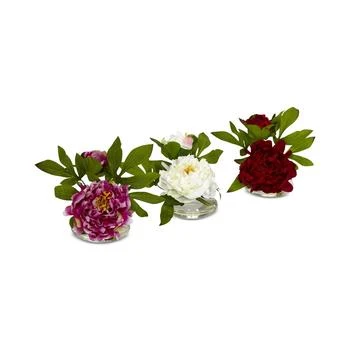 NEARLY NATURAL | 3-Pc. Peony Set with Glass Vases,商家Macy's,价格¥722