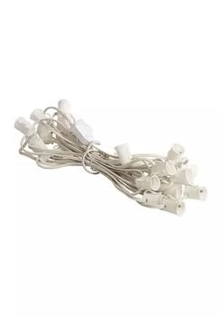Vickerman | Socket String with White Wire,商家Belk,价格¥280