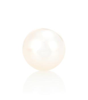 商品Sophie Bille Brahe | Petit Perle 14kt gold pearl earring,商家MyTheresa,价格¥2313图片