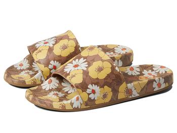 coach鞋, Coach | Udele Sig Floral Sport Slide商品图片 3.6折