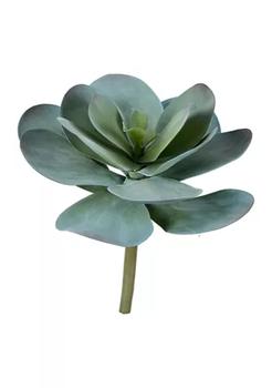 商品Vickerman | Blue Succulent Stem,商家Belk,价格¥368图片