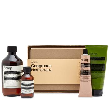 Aesop | Aesop Congruous: Elaborate Body Kit商品图片,