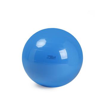 商品Gymnic | Physio Exercise Ball 95,商家Macy's,价格¥630图片