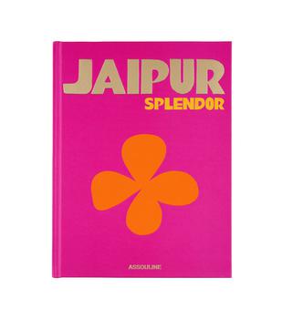 商品Jaipur Splendor book图片
