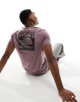 The North Face | The North Face Redbox Celebration back print t-shirt in grey 