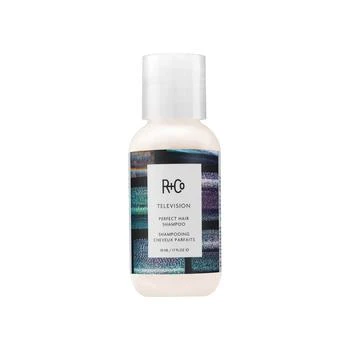 R+Co | Television Perfect Hair Shampoo,商家bluemercury,价格¥134