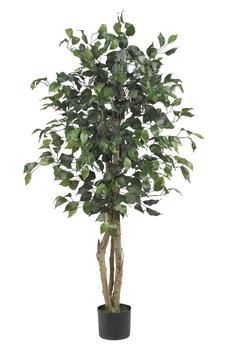 商品NEARLY NATURAL | 4' Artificial Ficus Tree,商家Nordstrom Rack,价格¥659图片