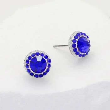 FASHNZFAB | Round Stone Stud Evening Earrings - Sapphire,商家Premium Outlets,价格¥138