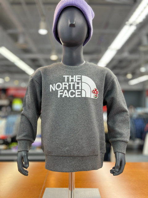 商品The North Face | 【Brilliant|包邮包税】北面 运动户外 NM5MM51 儿童 坎普 SWEATS 衬衣 KIDS KEMP SWEATSHIRTS,商家Brilliant Beauty,价格¥351图片
