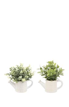 商品FLORA BUNDA | Eucalyptus & Tea leaf in Cathedral Watering Can, Set of 2,商家Nordstrom Rack,价格¥272图片