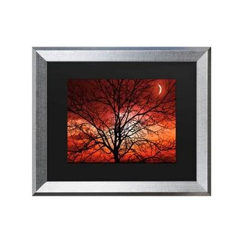 Trademark Global | Philippe Sainte-Laudy Big Bad Moon Matted Framed Art - 20" x 25",商家Macy's,价格¥749