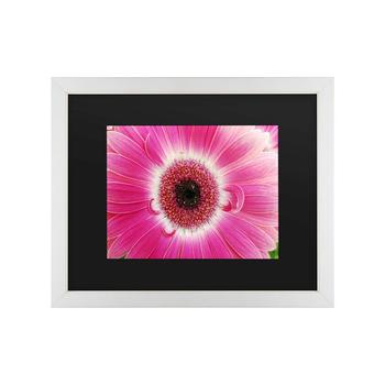 商品Kurt Shaffer Pink Gerber Matted Framed Art - 20" x 25"图片