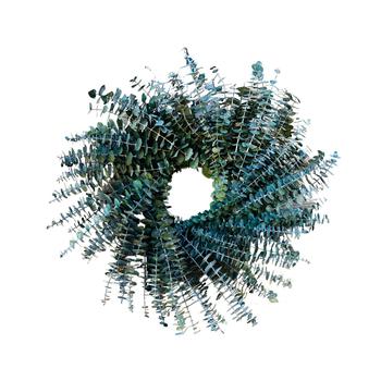 商品Baby Blue Eucalytpus Real Preserved Fall Wreath, 24"图片