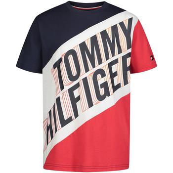 Tommy Hilfiger | Little Boys Tommy Sport Short Sleeve T-shirt商品图片,6折