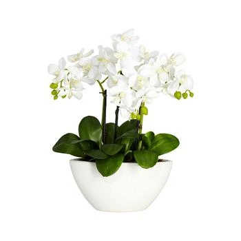 NEARLY NATURAL | Phalaenopsis Flower Arrangement,商家Macy's,价格¥722