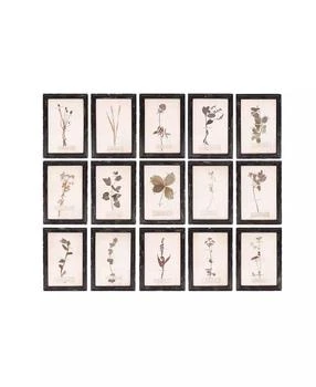 3R Studio | Wood Framed Wall Plaques with Dried Flower Images, Multicolor, Set of 16,商家Macy's,价格¥4128