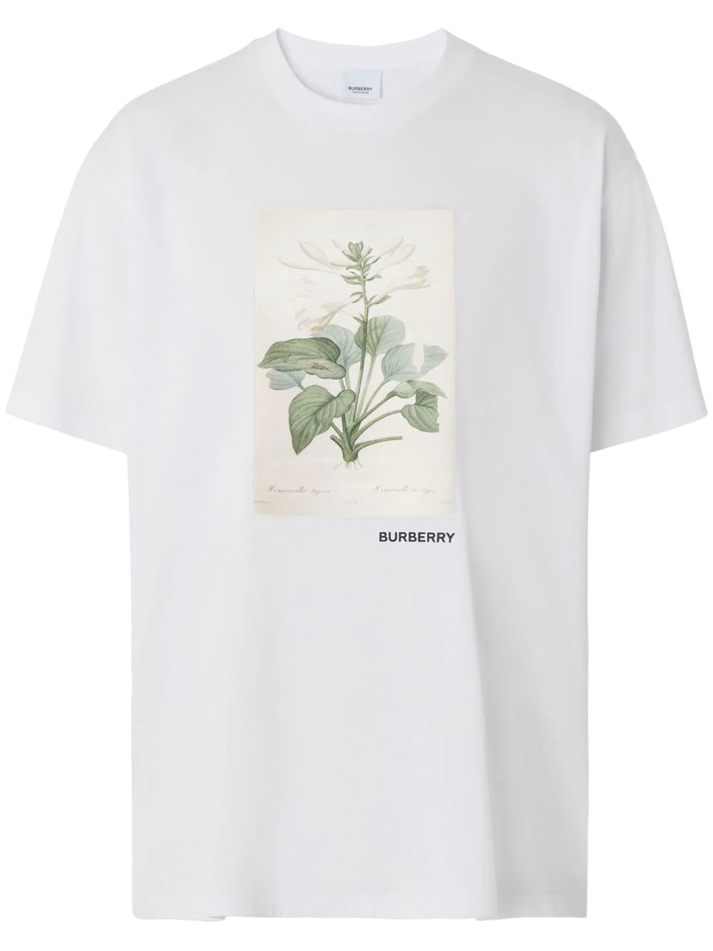 美国burberry t恤, Burberry | BURBERRY 女士T恤白色 8056581商品图片 独家减免邮费