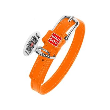 商品Waudog | Glamour genuine leather dog collar with QR passport,商家Macy's,价格¥100图片