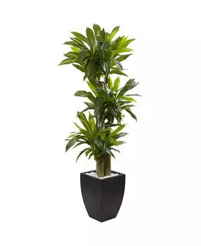 NEARLY NATURAL | 5.5' Corn Stalk Dracaena Artificial Plant in Black-Washed Planter,商家Macy's,价格¥2244