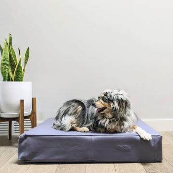 商品Le Dog Company | Le Bed Leather Dog Bed In Slate Grey MEDIUM: 33"X25”6”,商家Verishop,价格¥1809图片