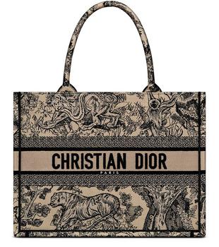 Dior]小号Book Tote 手袋价格¥24687 | 别样海外购