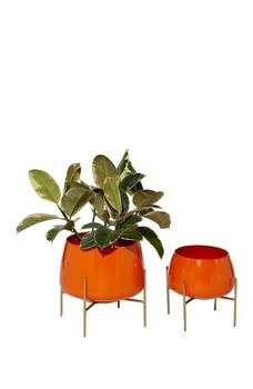 GINGER BIRCH STUDIO | Orange Metal Modern Planter with Removable Stand - Set of 2,商家Nordstrom Rack,价格¥482