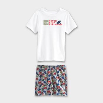 推荐Boys' Toddler The North Face Cotton Summer T-Shirt and Shorts Set商品