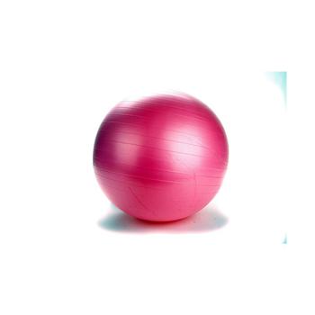 商品Exercise Yoga Ball for Fitness图片