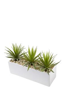 NEARLY NATURAL, NEARLY NATURAL | Mini Agave Artificial Plant in Rectangular Ceramic商品图片 8.6折