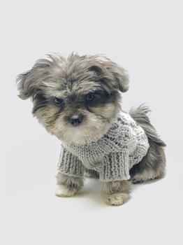 商品Mia Cable Knit Dog Sweater,商家Verishop,价格¥256图片