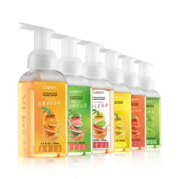 Lovery | Hand Foaming Soap in Citrus Blend, Lemon, Orange, Pomelo, Lime, Pink Grapefruit, Moisturizing Hand Soap - Hand Wash Set, 6 Piece,商家Macy's,价格¥390