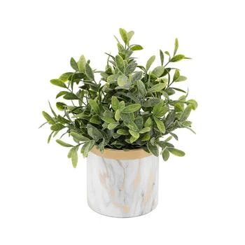 Flora Bunda | Tea Leaf in Ceramic Pot, 4.5",商家Macy's,价格¥663